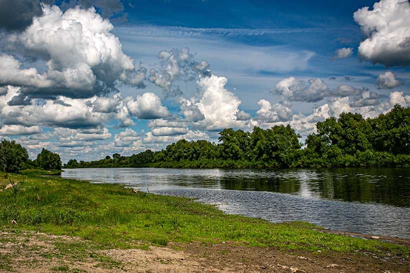 природный пейзаж на берегу реки Чаус